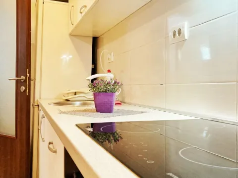 Izdavanje, jednosoban stan, 43m², Stari Aerodrom, Podgorica - image 11