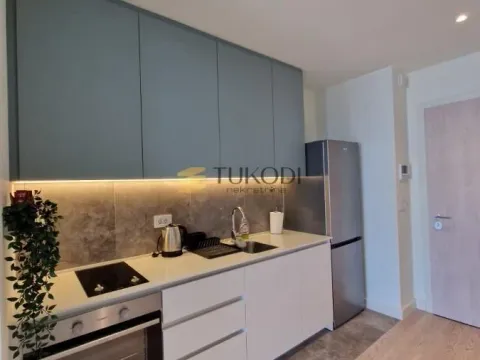 Rent, one bedroom apartment, 36m², Savski Venac, Beograd - image 8