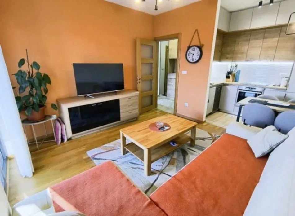 Izdavanje, jednosoban stan, 45m², Blok 9, Podgorica