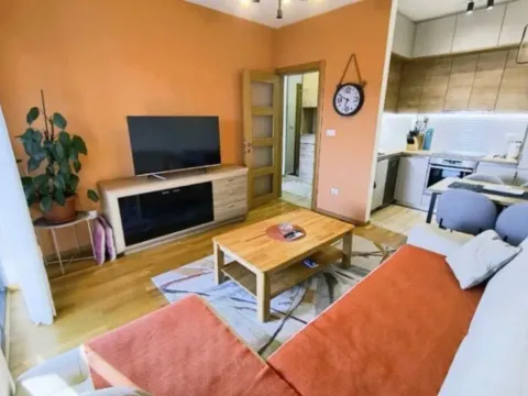 Izdavanje, jednosoban stan, 45m², Blok 9, Podgorica