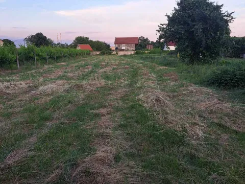 Prodaja, plac, 2300m², Podgorica, Crna Gora - image 2