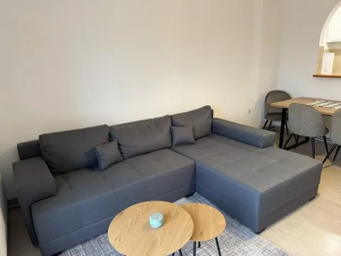 Izdavanje, dvosoban stan, 45m², Rotkvarija, Novi Sad Sve Podlokacije - image 6