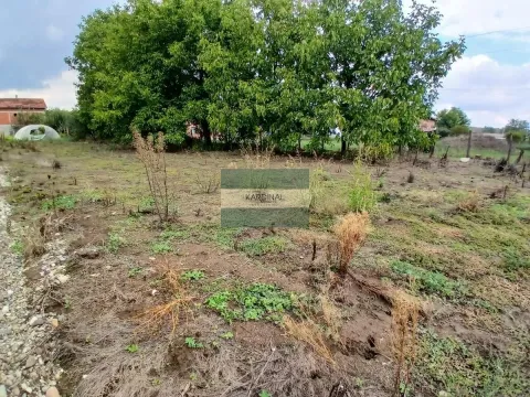 Sale, land lot, 3m², Kupusara, Jagodina