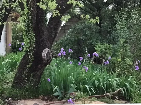 Sale, house, 260m², Sutomore, Bar - image 10