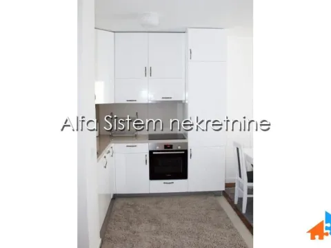 Rent, two bedroom apartment, 40m², Lion, Zvezdara Sve Podlokacije - image 9