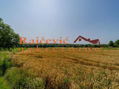 Prodaja, plac, 16400m², Mladenovac, Beograd - image 13