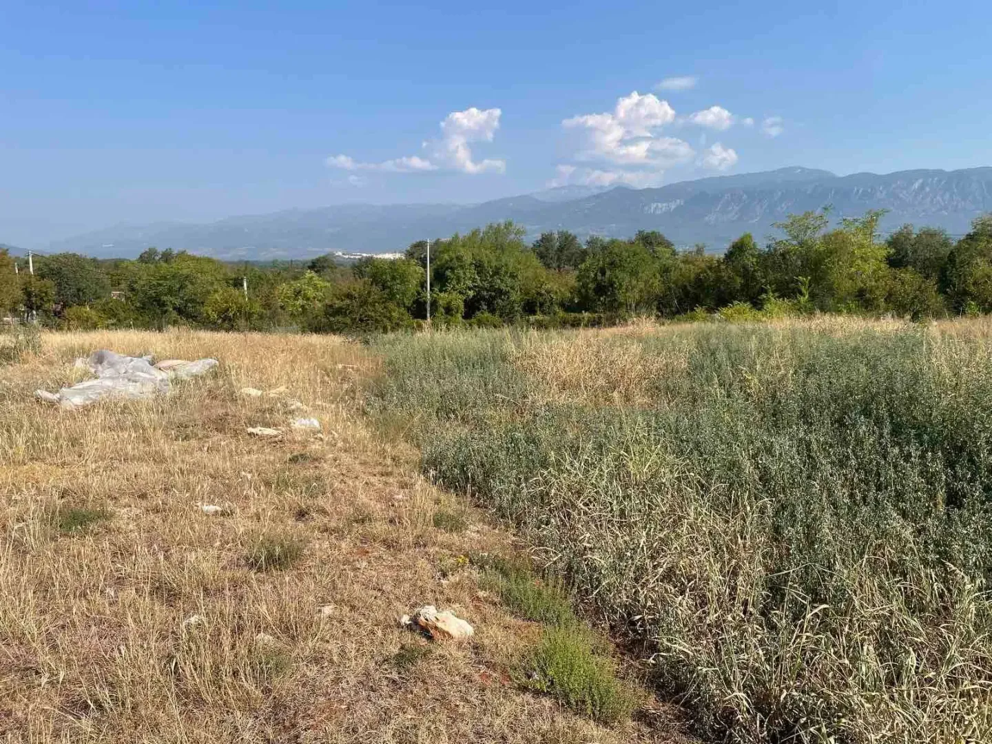 Prodaja, plac, 2454m², Novo Selo, Danilovgrad