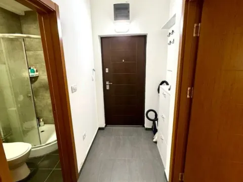 Izdavanje, jednosoban stan, 45m², Ljubović, Podgorica - image 5