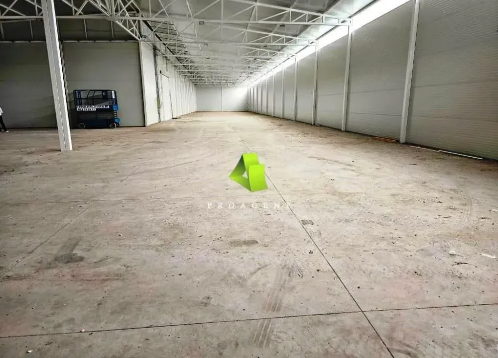 Izdavanje, poslovni prostor, 1500m², Centar, Niš