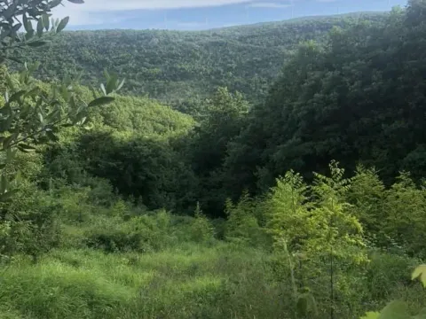 Sale, land lot, 18900m², Velja Gorana, Bar - image 5