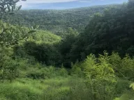 Prodaja, plac, 18900m², Velja Gorana, Bar - image 5