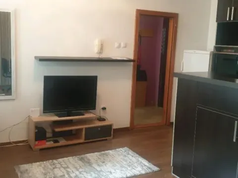 Rent, one bedroom apartment, 47m², Socijalno, Novi Sad Sve Podlokacije - image 4