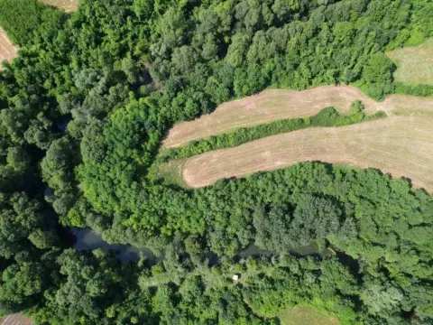 Prodaja, plac, 9609m², Danilovgrad, Crna Gora - image 6