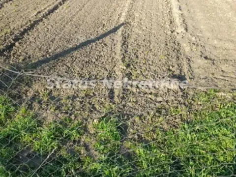 Sale, land lot, 781m², Futog, Novi Sad Sve Podlokacije - image 8