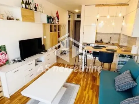 Izdavanje, jednosoban stan, 36m², Hala Pionir, Palilula Sve Podlokacije - image 4