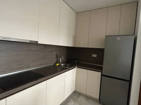 Rent, one bedroom apartment, 50m², Master Kvart, Podgorica - image 2