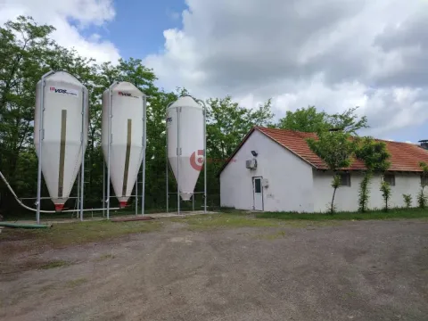 Prodaja, kuća, 228m², Kelebija, Subotica - image 20