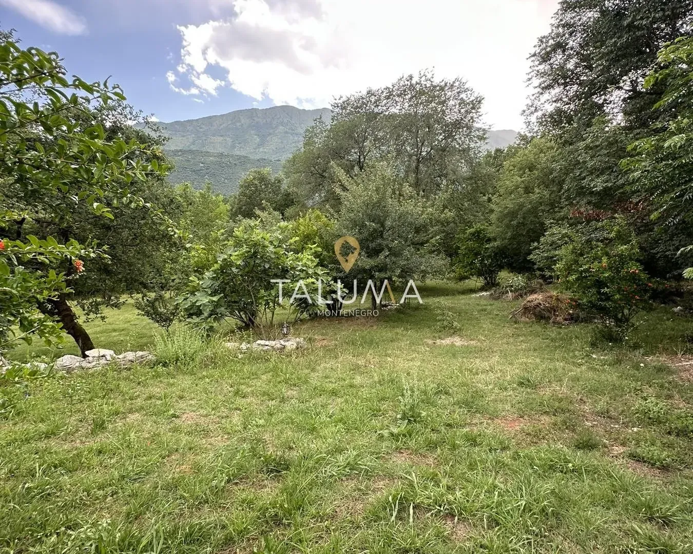 Prodaja, kuća, 276m², Orja Luka, Danilovgrad
