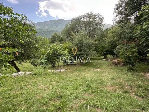 Prodaja, kuća, 276m², Orja Luka, Danilovgrad - image 5