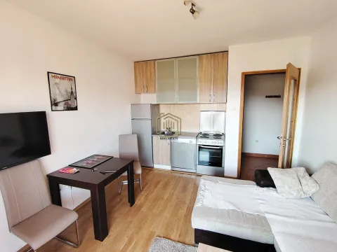 Rent, studio apartment, 28m², Krivi Most, Podgorica - image 2