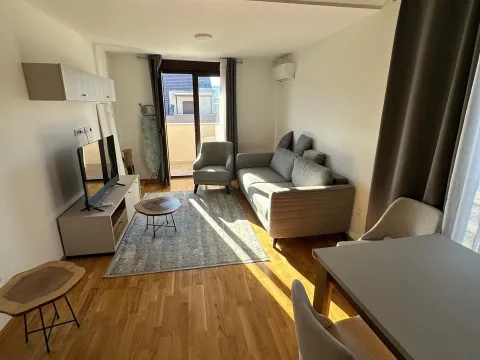 Rent, one bedroom apartment, 45m², Zabjelo, Podgorica - image 1