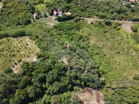 Prodaja, plac, Stari Slankamen, Inđija - image 6