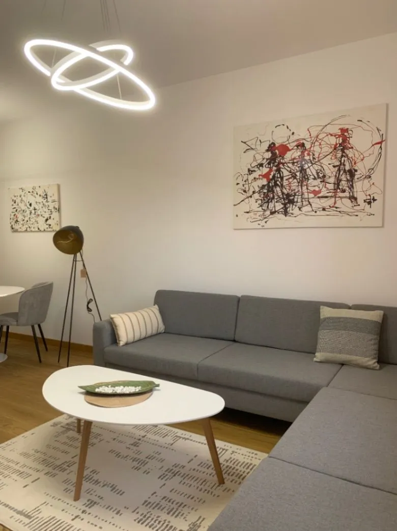 Rent, one bedroom apartment, 47m², New City, Podgorica