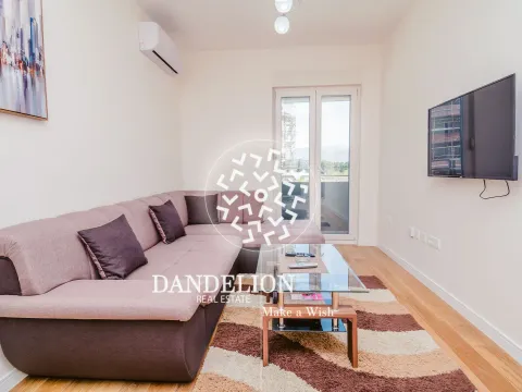 Izdavanje, jednosoban stan, 40m², Central Point, Podgorica