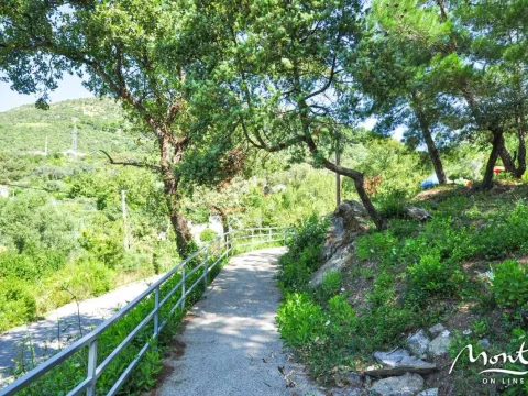 Sale, one bedroom apartment, 50m², Tivat, Crna Gora - image 17