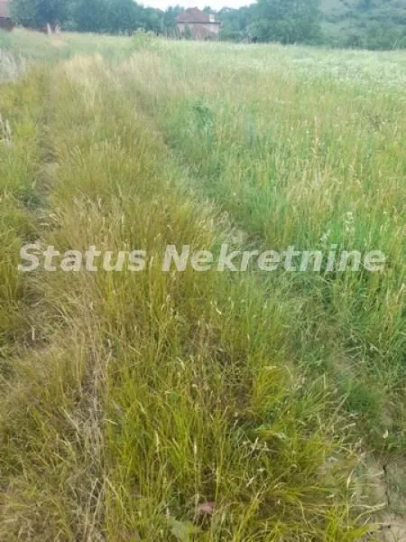 Prodaja, plac, 900m², Beočin, Srbija