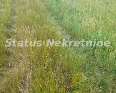 Sale, land lot, 900m², Beočin, Srbija - image 3