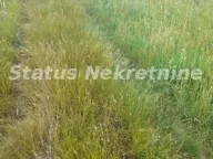 Prodaja, plac, 9m², Beočin, Srbija - image 3