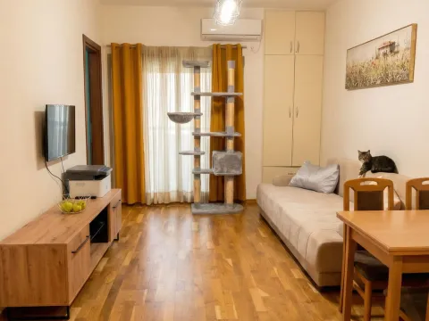 Sale, two bedroom apartment, 40m², Budva, Crna Gora - image 8