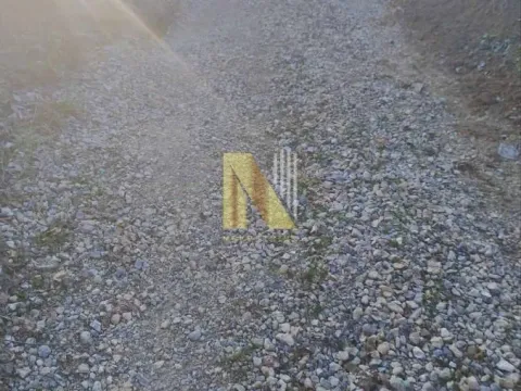 Prodaja, plac, 1900m², Beočin, Srbija - image 4