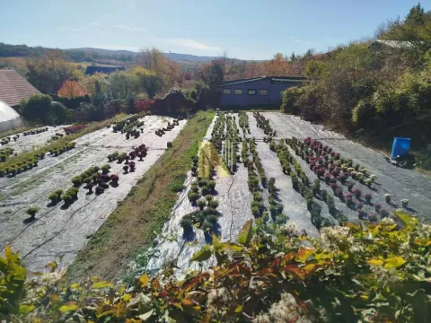 Sale, land lot, 2200m², Sremska Kamenica, Petrovaradin - image 6