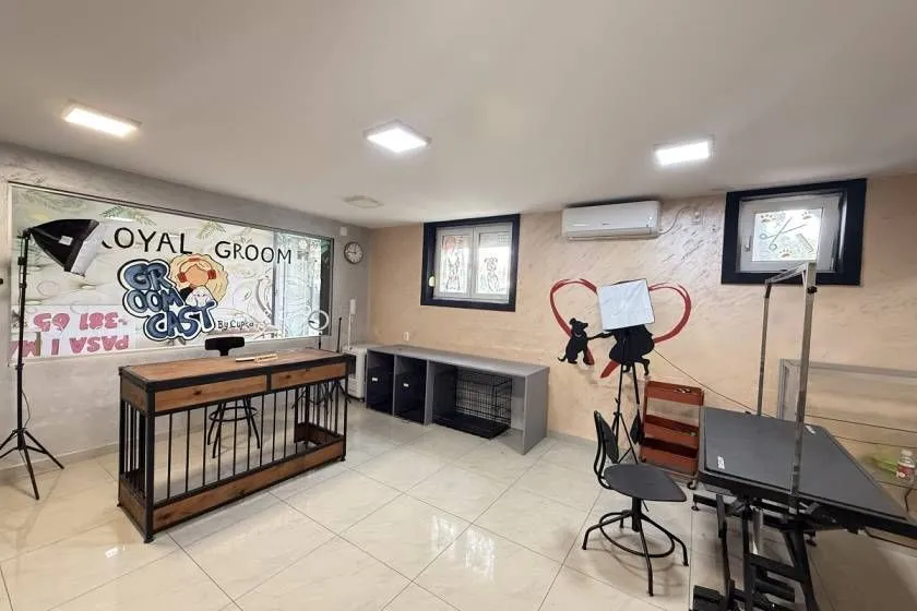 Prodaja, poslovni prostor, 56m², Vračar Hram, Vračar Sve Podlokacije