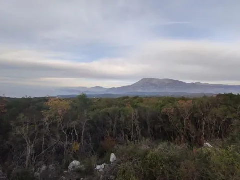 Prodaja, plac, 10000m², Bar, Crna Gora - image 2