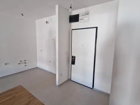 Izdavanje, jednosoban stan, 46m², Stari Aerodrom, Podgorica - image 5