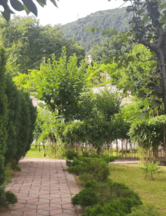Rent, apartment, 47m², Budva, Crna Gora