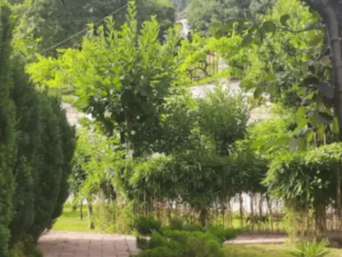 Rent, apartment, 47m², Budva, Crna Gora - image 9