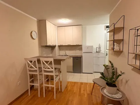 Rent, one bedroom apartment, 33m², Zabjelo, Podgorica - image 3