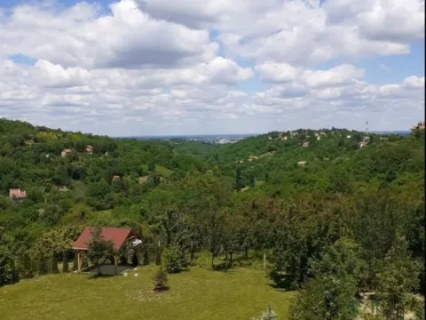 Sale, house, 180m², Sremska Kamenica, Petrovaradin - image 17