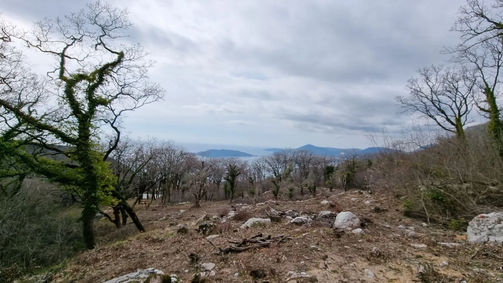 Prodaja, plac, 2170m², Kuljače, Budva