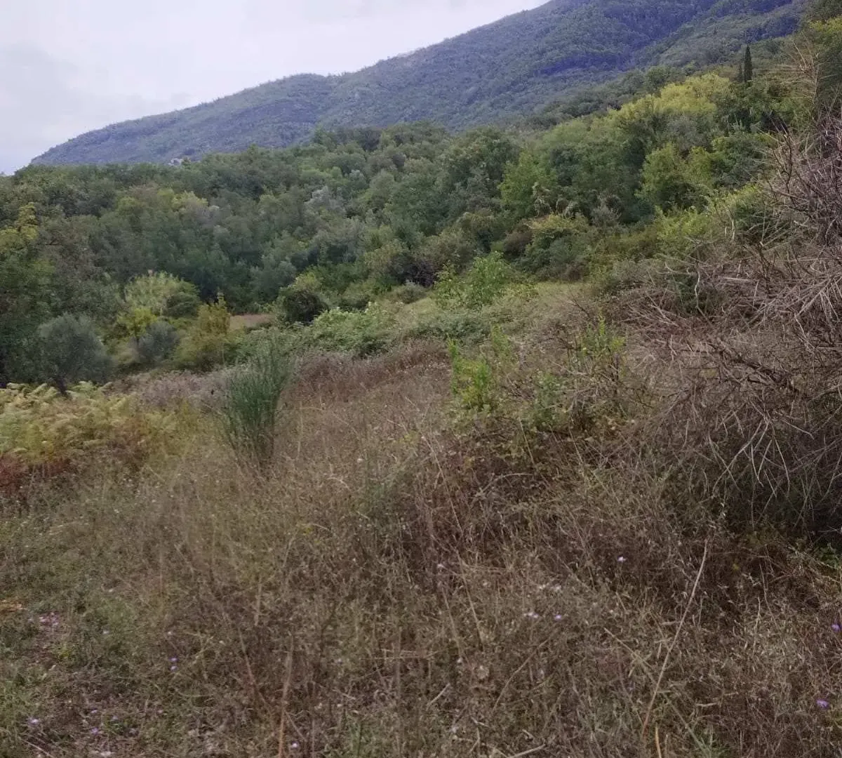 Prodaja, plac, 1500m², Kotor, Crna Gora