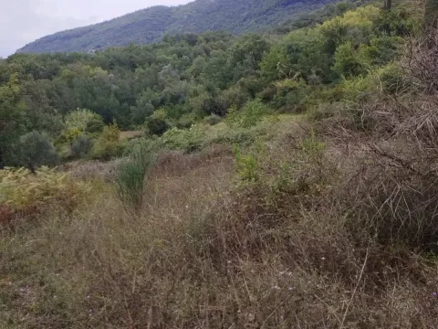 Prodaja, plac, 1500m², Kotor, Crna Gora - image 2