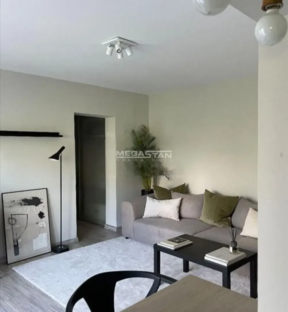 Rent, two bedroom apartment, 48m², Vračar Sve Podlokacije, Beograd