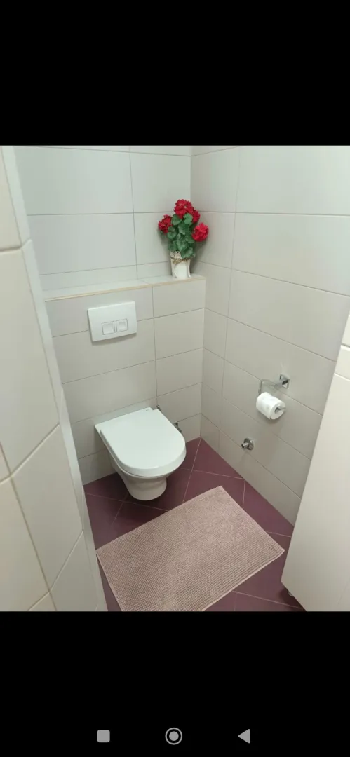 Smaller bathroom with a toilet and light tiles.