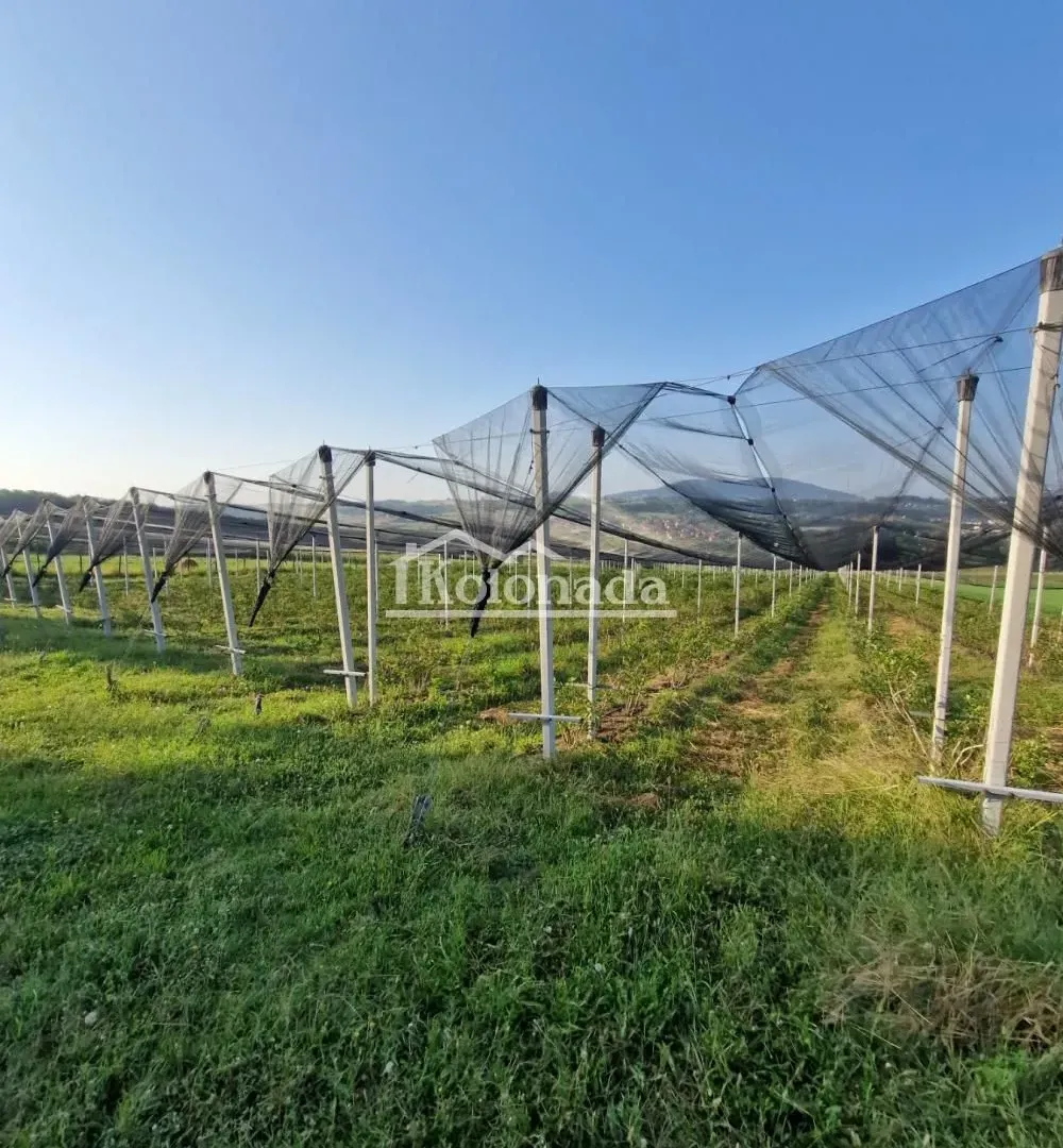 Prodaja, plac, 31670m², Sopot, Beograd