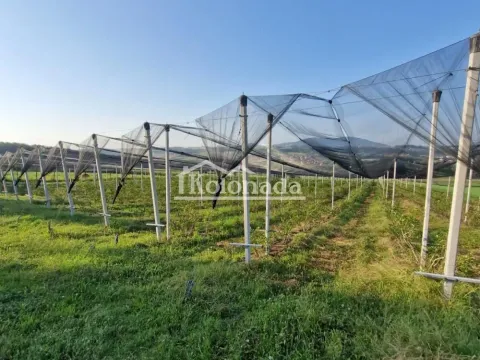 Prodaja, plac, 31670m², Sopot, Beograd - image 7