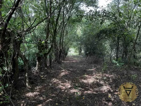 Sale, land lot, 4600m², Vrčin, Grocka - image 13